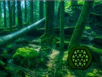 Rabbit Sculpture Rescue