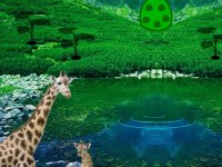 Giraffe Lake Forest Escape