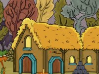 Grey Squirrel Rescue