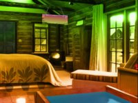 Wooden Duck House Escape