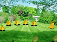 Country Fruits Farm Escape