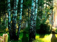 Carnivorous Plants Forest Escape