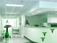 Ortha Care Hospital Escape