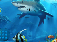 Underwater Flight Recorder Retrieval