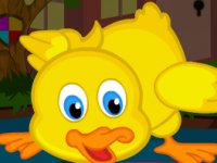 Cute Duckling Bird Escape