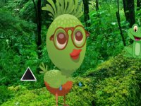 Rescue Wild Green Chick