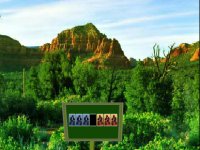 Rescue Girl From Desert Cactus