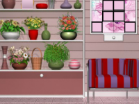 Little Flower Shop