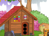 Ferret Rescue From Cage