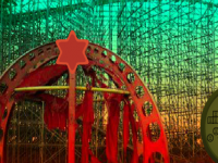 Save the Albino Cheetah