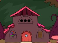 Cute Baby Lion Rescue