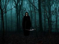 Dead Angel Forest Escape