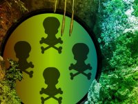 Ghastly Skull Forest Escape