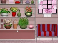 Little Flower Shop