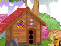 Ferret Rescue From Cage