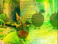 Floating Garden Escape