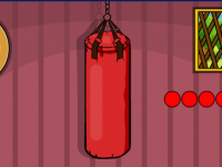 Helmeted Hornbill Escape