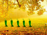 Soothing Autumn Forest Escape