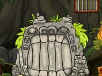 Leopard Rescue From Cave