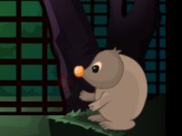 G2M Green Park Escape