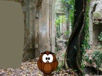 Abandoned Find the Antique Jewelry Box