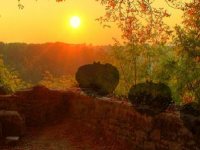 Brighid Autumn Forest Escape