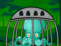 Octopus Escape From Cage