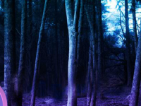 Dark Mysterious Jungle Escape