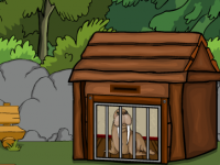 Walrus Escape