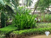 Famous Forest Park Escape