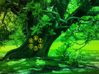 Friends Birds Garden Escape