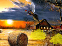 Thanksgiving Fruit Harvest Escape