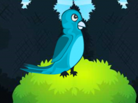 Duckling Rescue Final Series