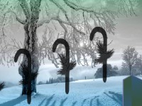 Magical Winter Christmas Forest Escape