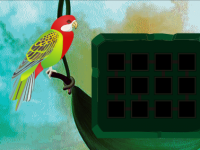 Fantasy World Parrot Escape