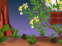 Find The Car Key From Desert