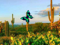 Help The Fainted Girl