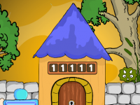 Cute Falcon Bird Escape