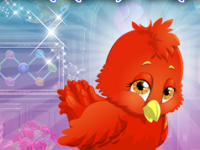 Clever Robin Bird Escape