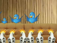 8b Infant Duck Escape