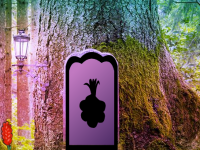 Fantasy Renovation Jungle Escape