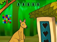 Baby Kangaroo Escape