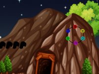 Porcupine Escape From Cage