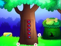 T10 Escape From Magic Forest