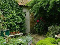 Classic Backyard House Escape