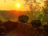 Brighid Autumn Forest Escape