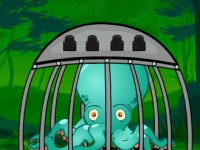 Octopus Escape From Cage