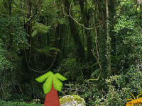 Perennial Lake Forest Escape