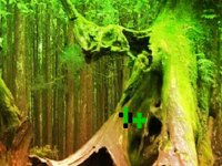 Peril Satan Forest Escape