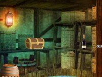 T10 Rescue The Toucan Game